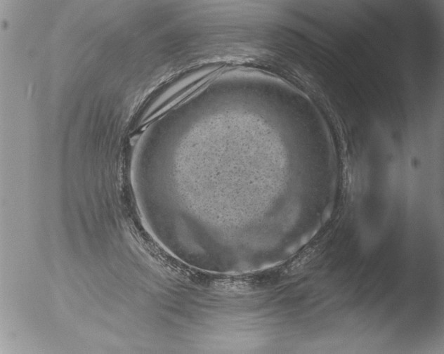 X0000051860354200507081828