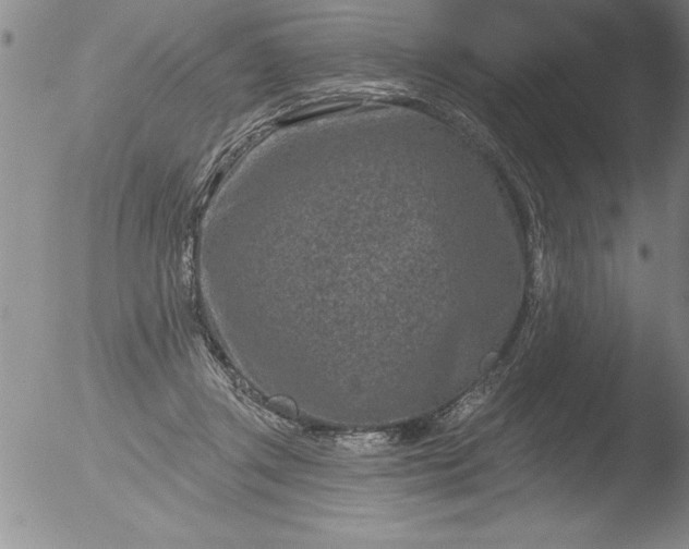 X0000051860357200507081828