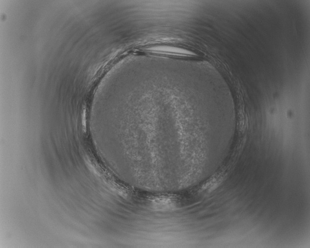 X0000051860358200507081828