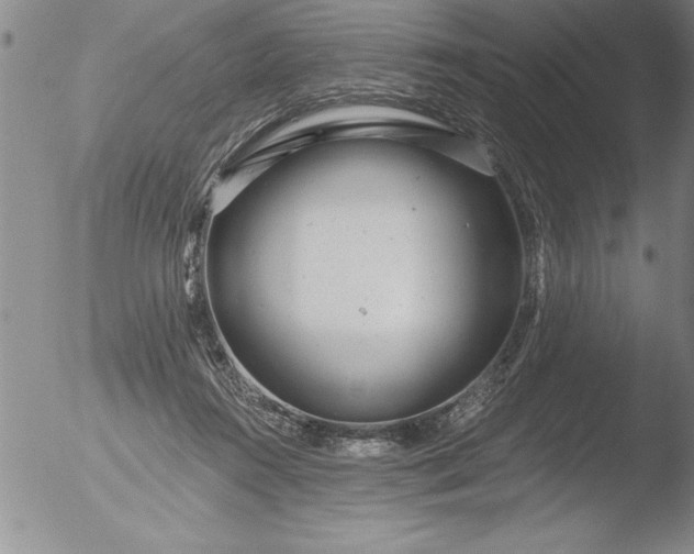 X0000051860360200507081828