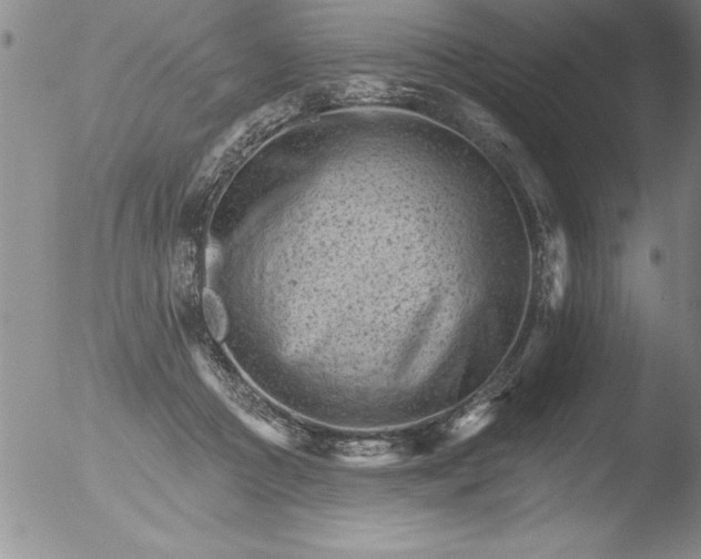 X0000051860361200507081828