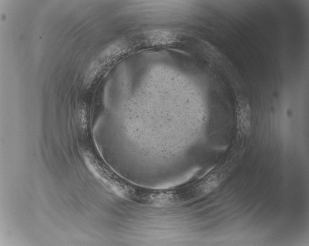 X0000051860362200507081828