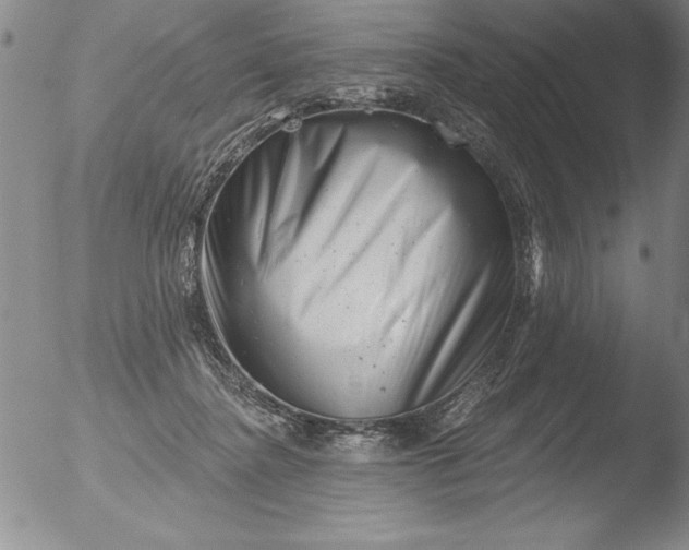 X0000051860364200507081828