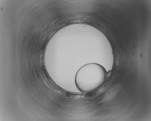 X0000051860366200507081828