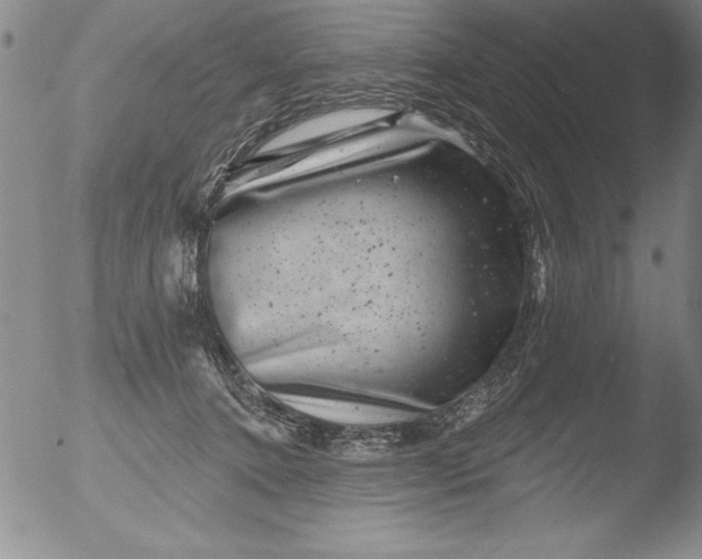 X0000051860368200507081828