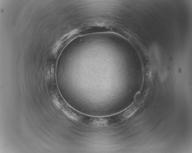 X0000051860369200507081828