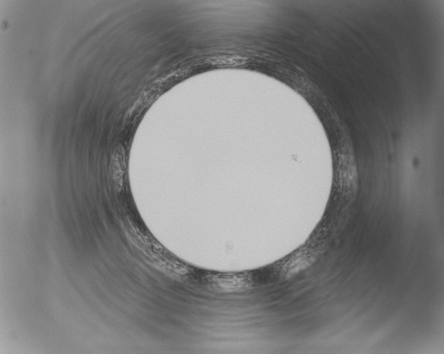 X0000051860370200507081828