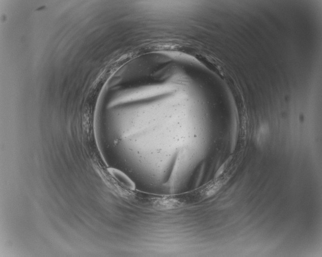 X0000051860379200507081829