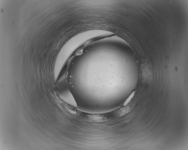 X0000051860380200507081829