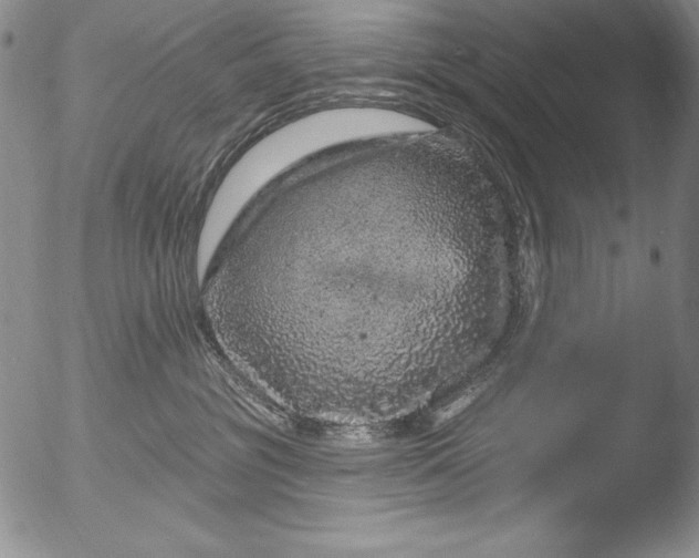 X0000051860381200507081829