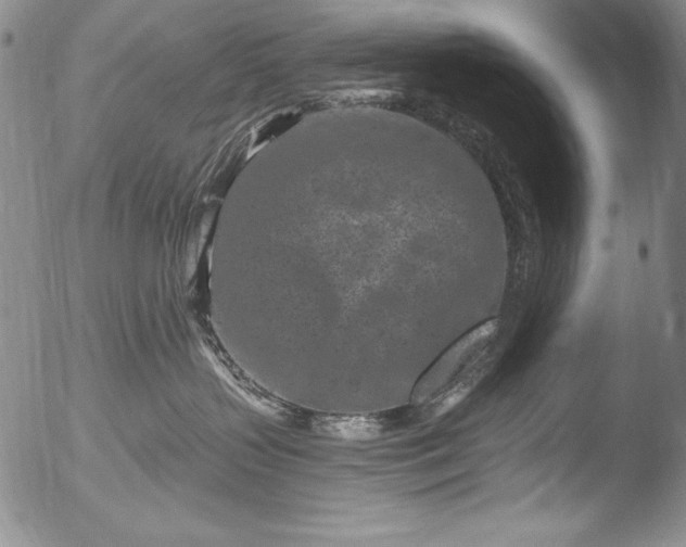 X0000051860383200507081829