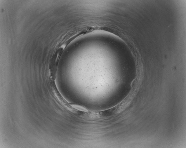 X0000051860384200507081829