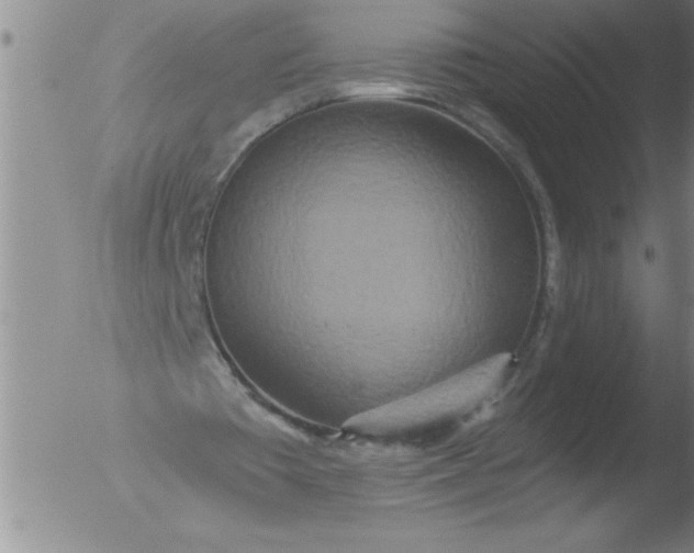 X0000051860385200507081828