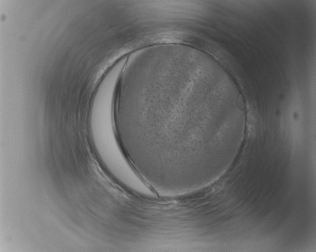 X0000051860386200507081828