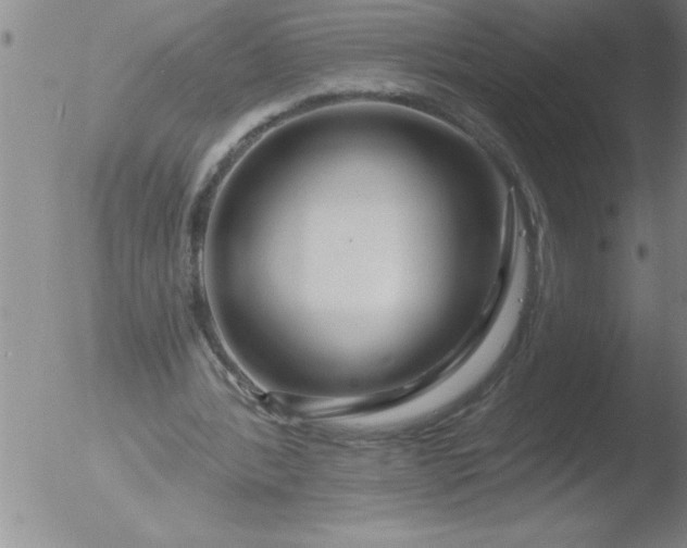 X0000051860388200507081828