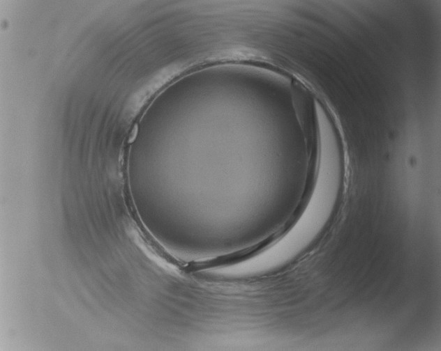 X0000051860389200507081828