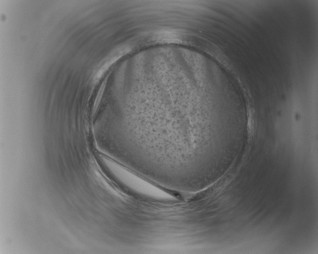 X0000051860390200507081828