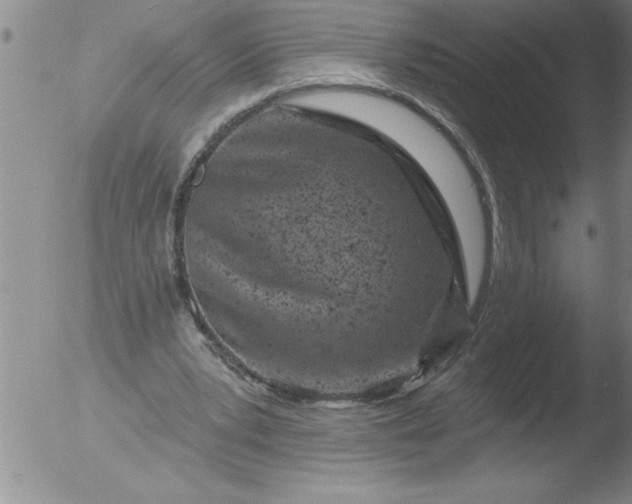 X0000051860391200507081828