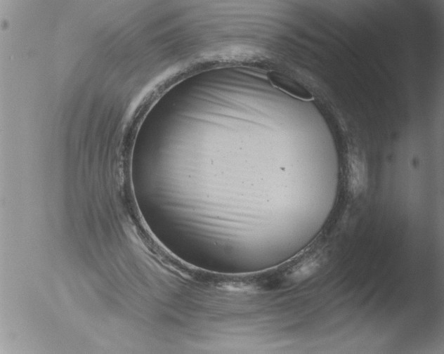 X0000051860392200507081828