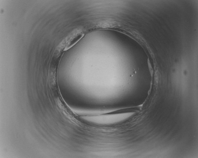 X0000051860393200507081828