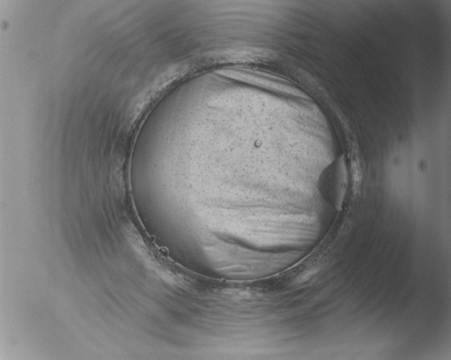 X0000051860394200507081828