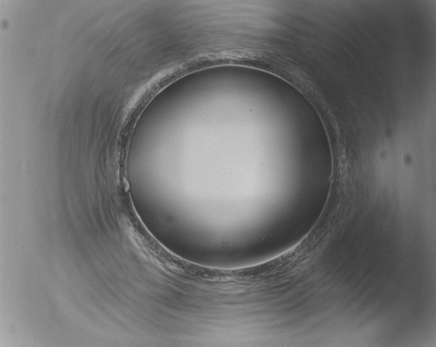 X0000051860395200507081828