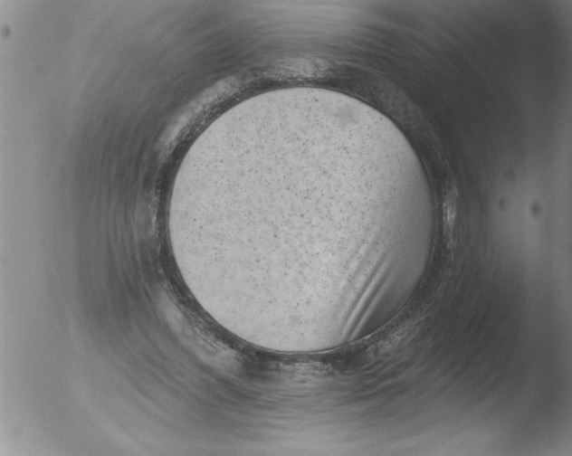 X0000051860396200507081828