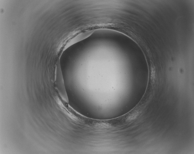 X0000051860397200507081828