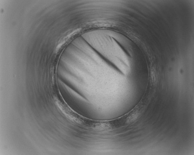 X0000051860398200507081828