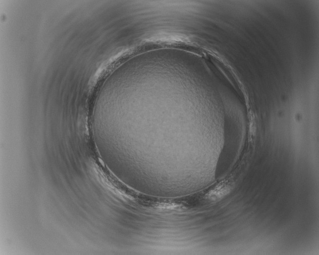 X0000051860399200507081828