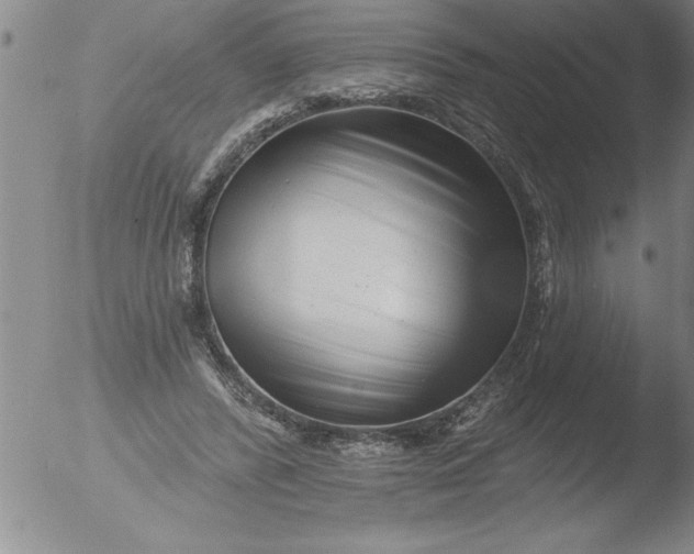 X0000051860400200507081828