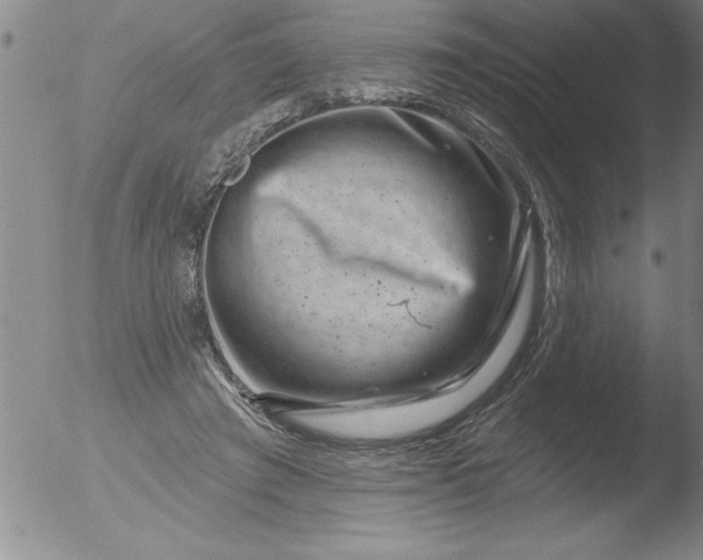 X0000051860401200507081828