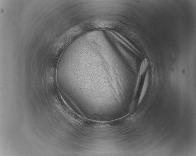 X0000051860402200507081828