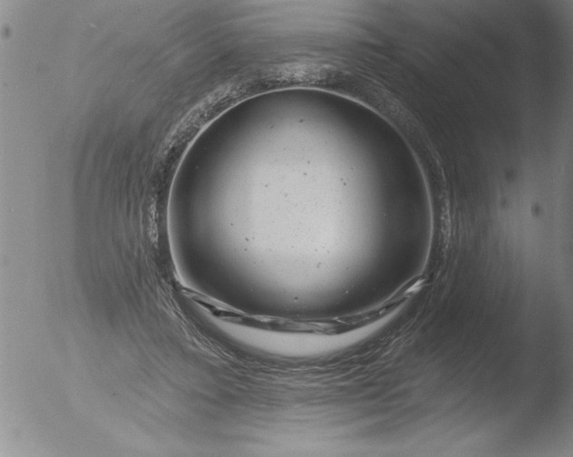 X0000051860403200507081828