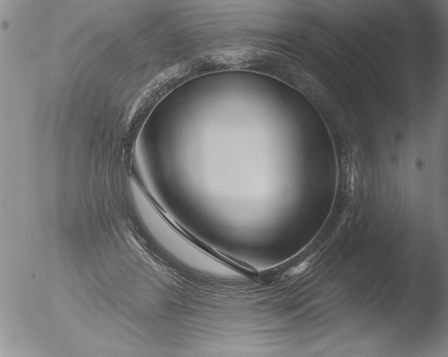 X0000051860404200507081828