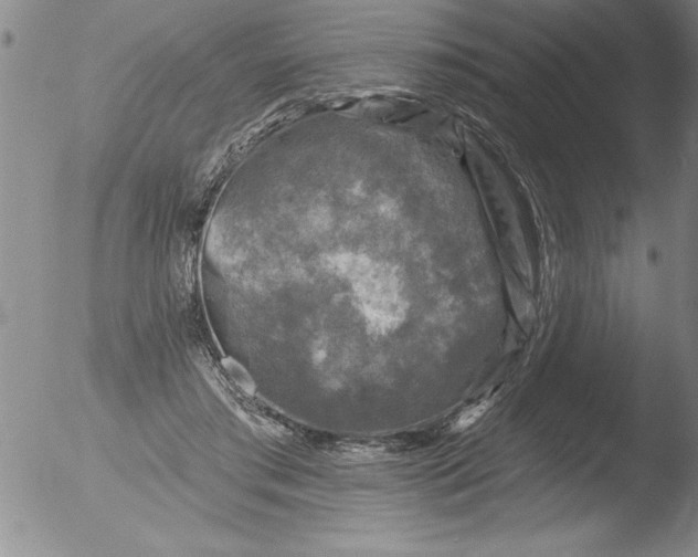 X0000051860405200507081828