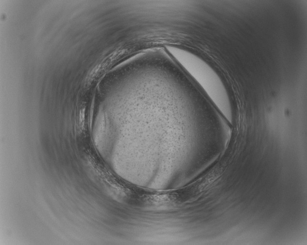 X0000051860406200507081828