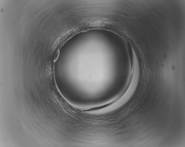 X0000051860407200507081828