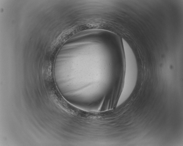 X0000051860408200507081828