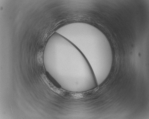 X0000051860409200507081828