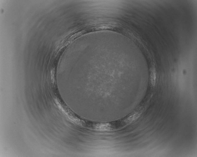 X0000051860410200507081828