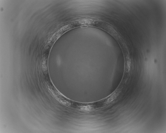 X0000051860411200507081827