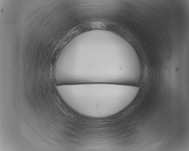 X0000051860413200507081827