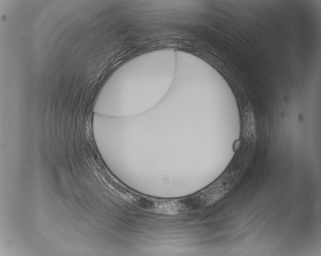 X0000051860414200507081827