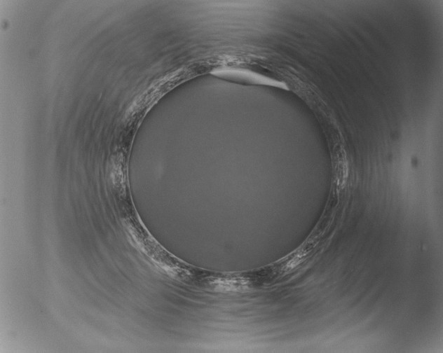 X0000051860415200507081827