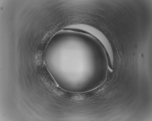 X0000051860416200507081827