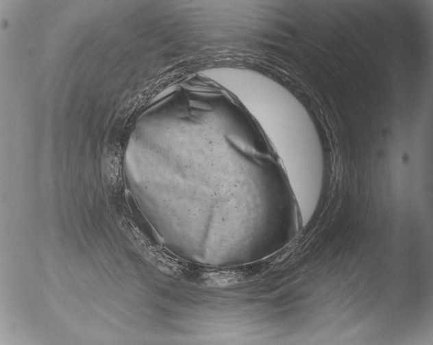 X0000051860417200507081827