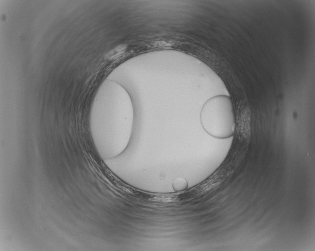 X0000051860418200507081827