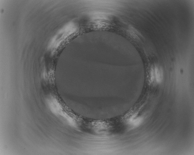 X0000051860419200507081827