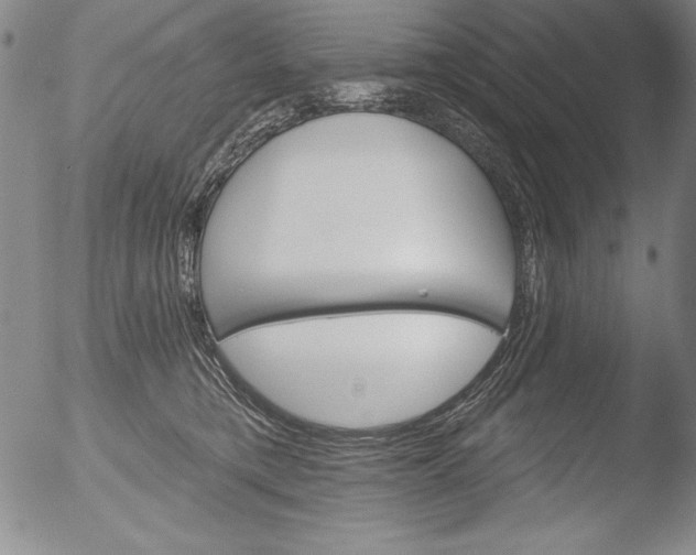 X0000051860421200507081827